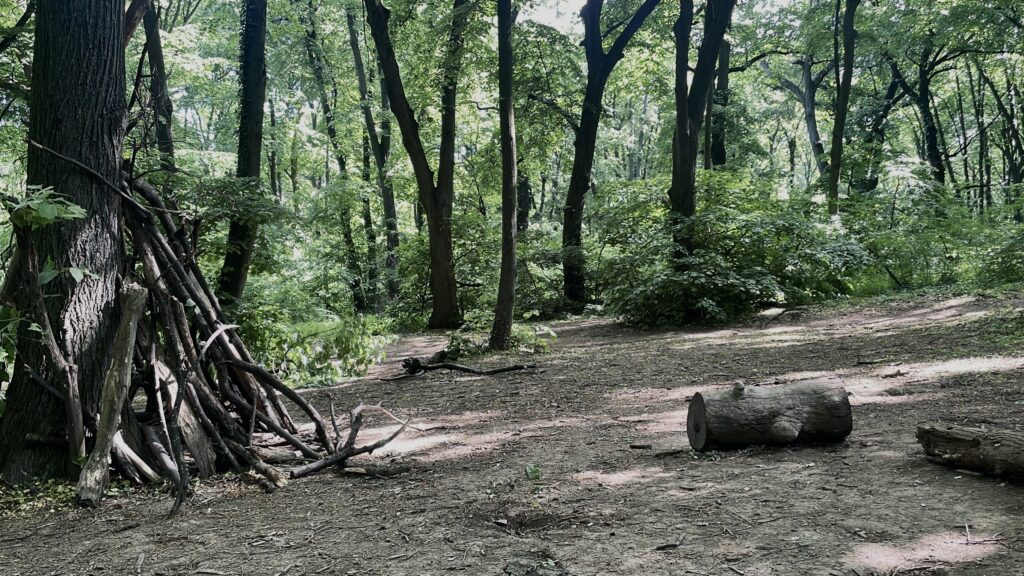 forest walks