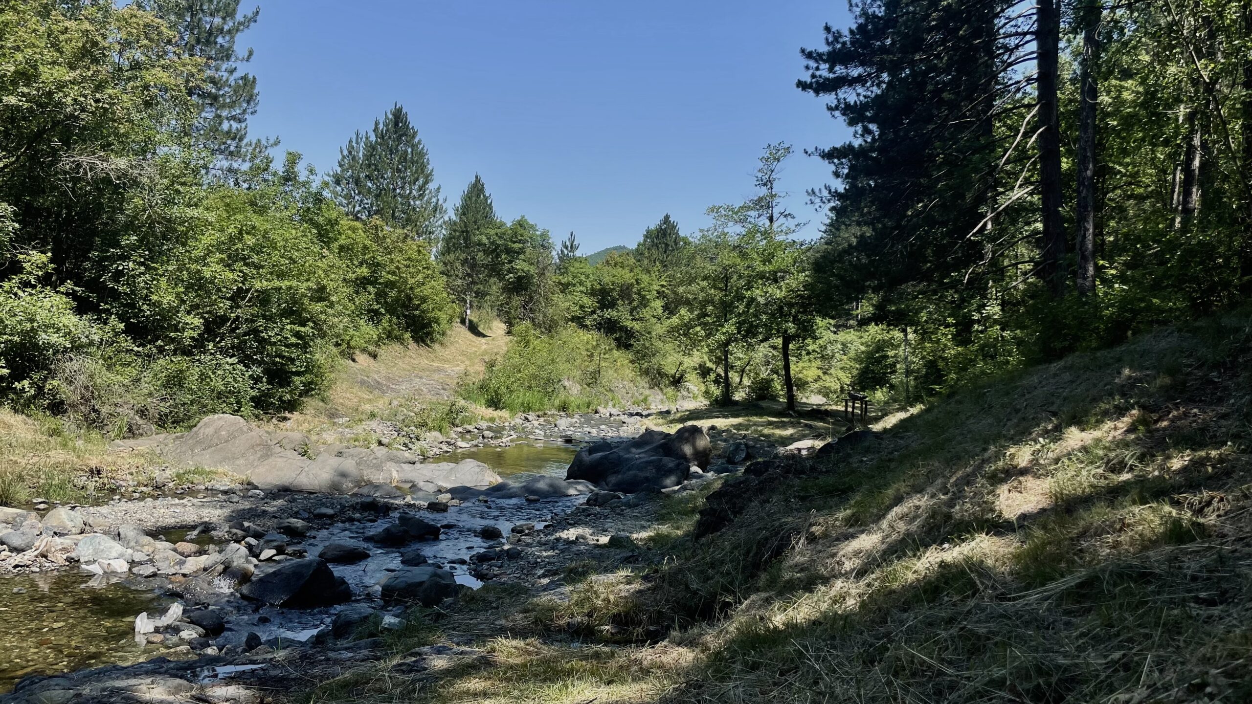 What to pack for a summer hike